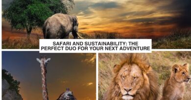 Safari and Sustainability: The Perfect Duo for Your Next Adventure