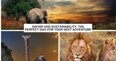 Safari and Sustainability: The Perfect Duo for Your Next Adventure