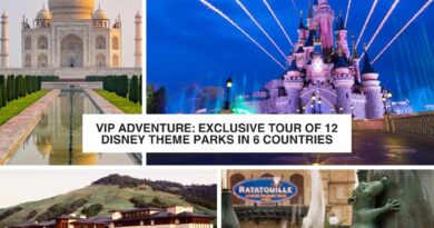 12 parques de disney en jet privado 24 dias