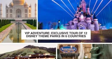 12 parques de disney en jet privado 24 dias