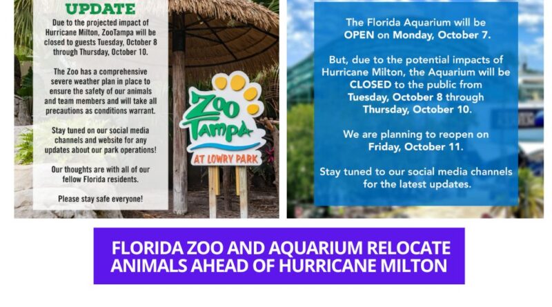 Florida Zoo and Aquarium relocate animals ahead of Hurricane Milton