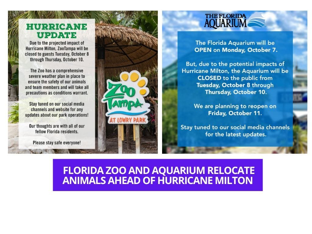 Florida Zoo and Aquarium relocate animals ahead of Hurricane Milton