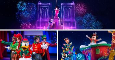 Disneyland Paris cancela shownavideño por 10 días