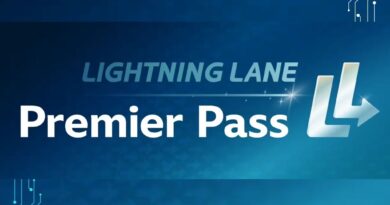 Pase Lightning Lane Premier de Disney