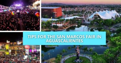 Tips for the San Marcos Fair
