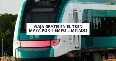Viaja gratis en Tren Maya